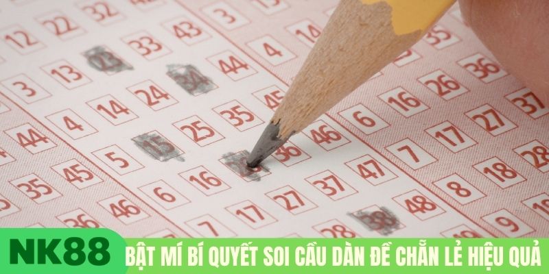 Bật mí bí quyết soi cầu dàn đề chẵn lẻ hiệu quả