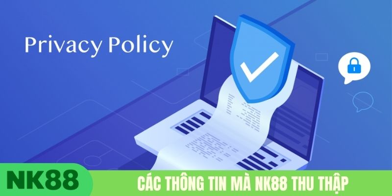 Các thông tin mà NK88 thu thập
